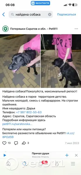 Пропал собака, Гусельская улица, 6, Саратов - черный лабрадор с шрамом на животе - photo