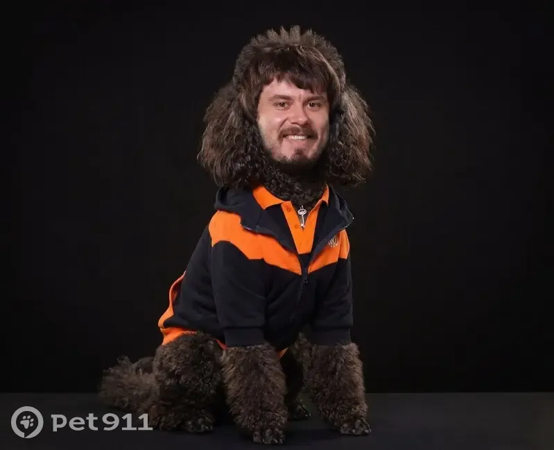 Пропала собака, Красная площадь, Москва - пудель с чипом, темный окрас - photo