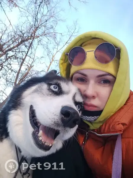 Пропала собака, Центральная улица, 88А, Дергаево — чёрный с белым, убежал с 7:30 утра - photo