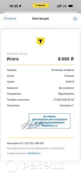 Пропала собака, Шонгуй, Мурманская область — пушистый, после грумера - photo
