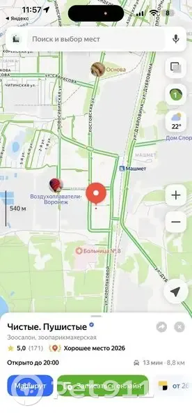Пропала собака, Ростовская улица, Воронеж — убежала после груминга, зовут Джек - photo