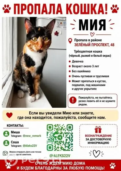 Пропала кошка, Федеративный проспект, 32с3, Москва — трёхцветная, белый подбородок, кличка Мия - photo