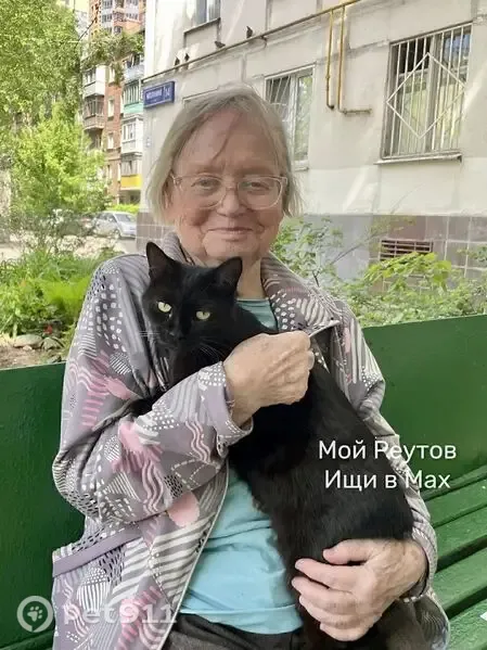 Пропала кошка, Реутов, Калинина, д. 14 — чёрная кошка Марыся (Маруся) - photo