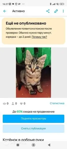 Пропала кошка-девочка, Ярославль — котёнок 3 месяца, шпротного цвета - photo
