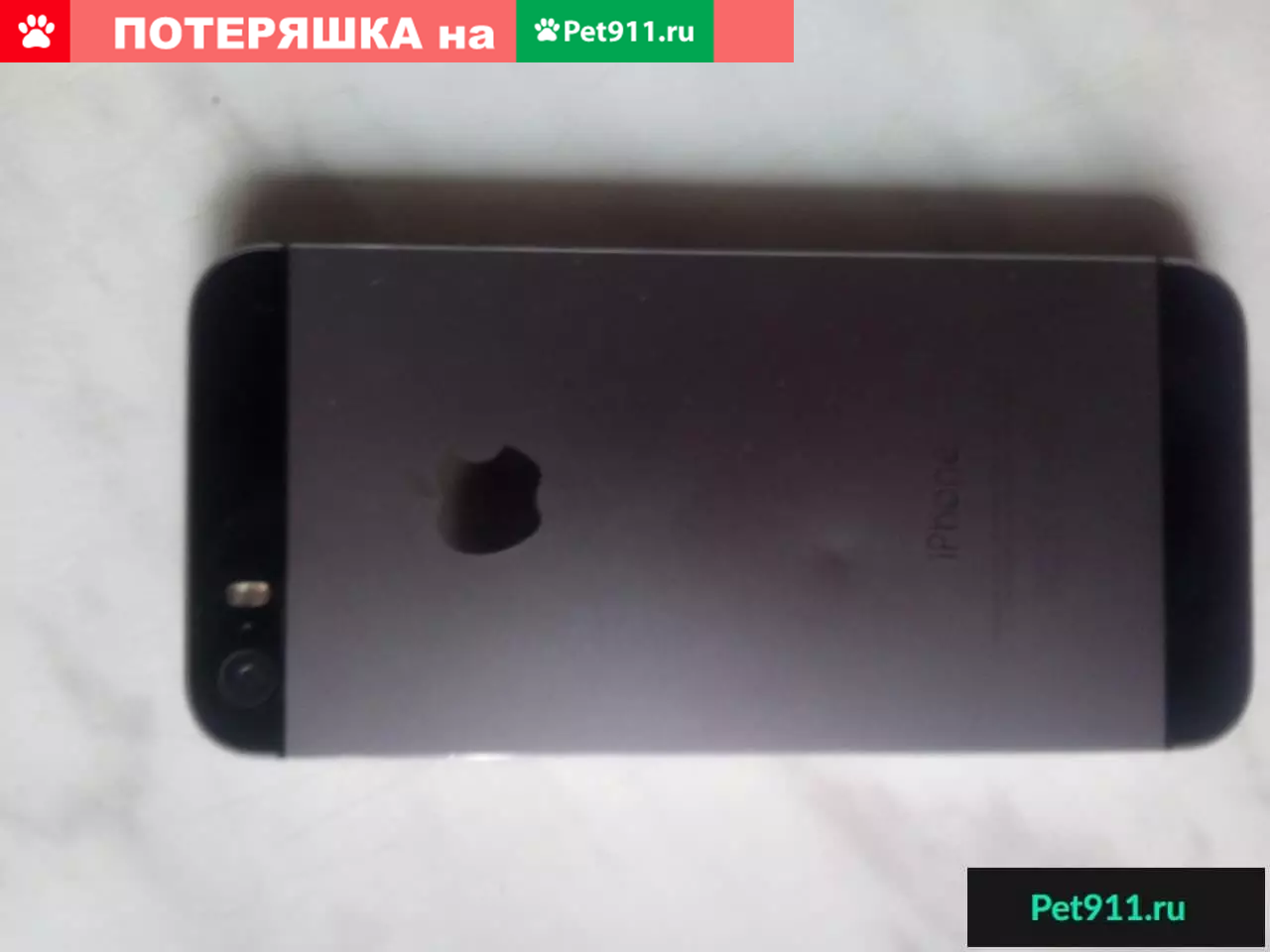 Найден айфон 5s в Осиновке, СПб | Pet911.ru