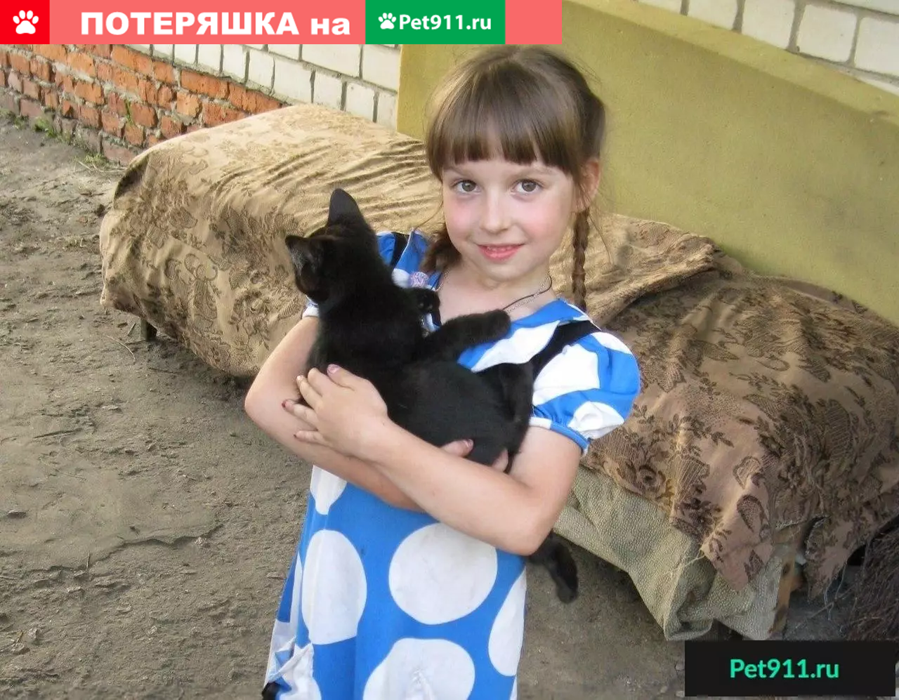 Пропала кошка Милла, адрес: Дериглазова, дом 1, Курск. | Pet911.ru