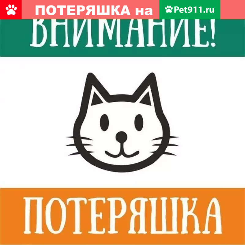 Картинка чей кот