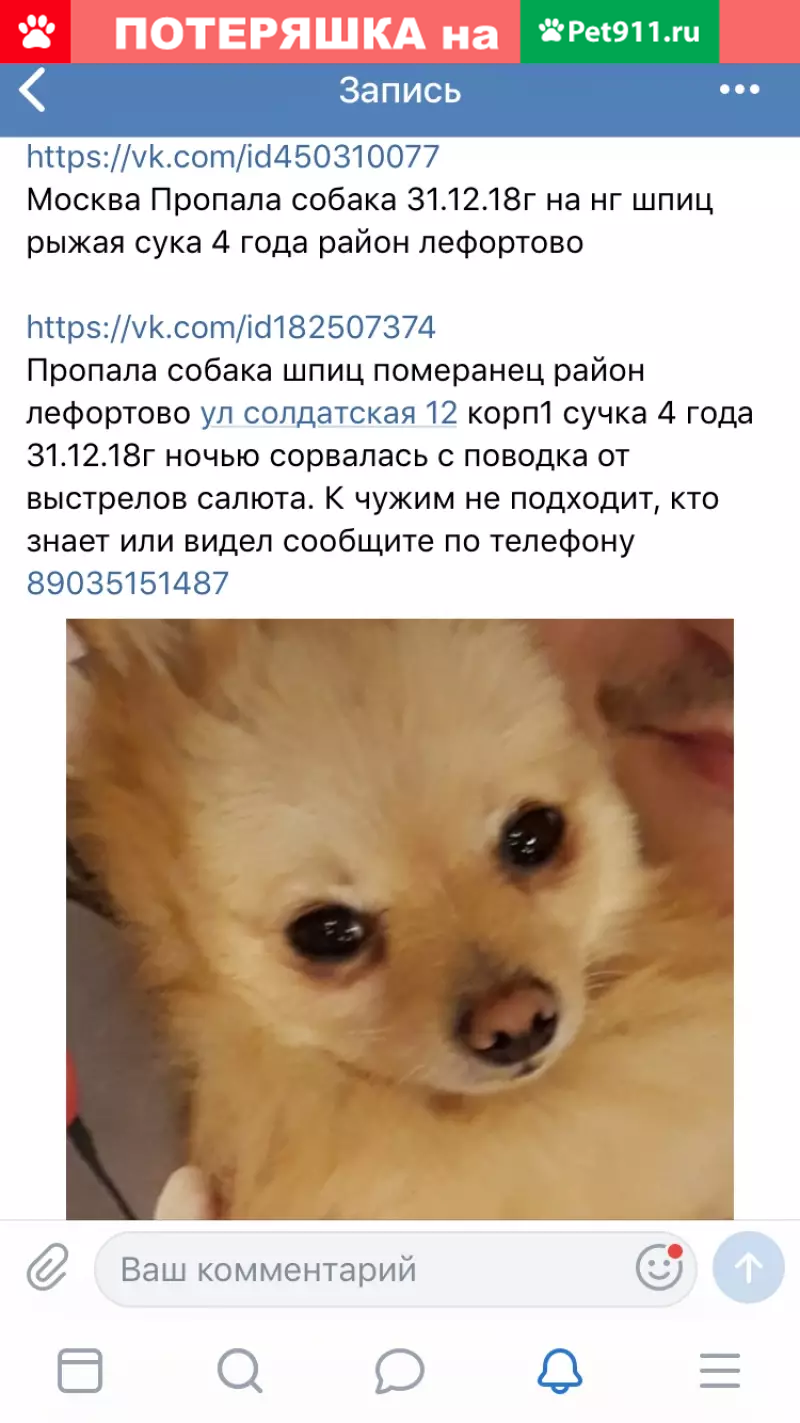 Пропала собака Клепа, Москва, Солдатская 12/1 | Pet911.ru