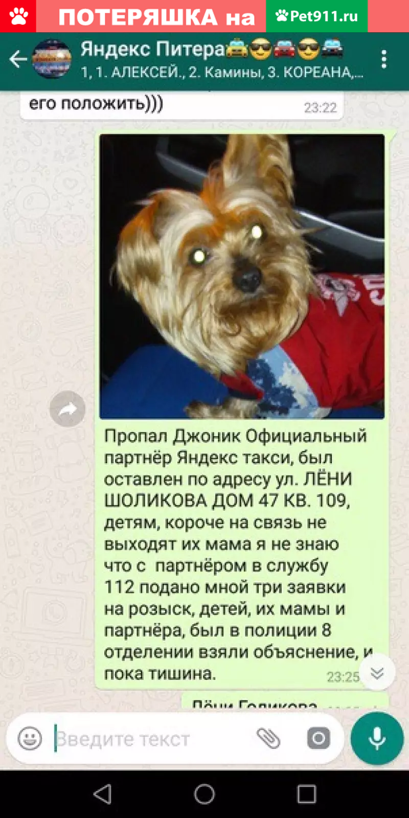 Пропал йорк на Лени Голикова, м. Пр. Ветеранов | Pet911.ru