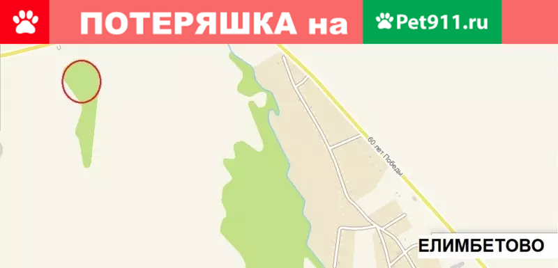 Пропала кошка в Елимбетово, ищем Барсика (черно-белый кот) - photo