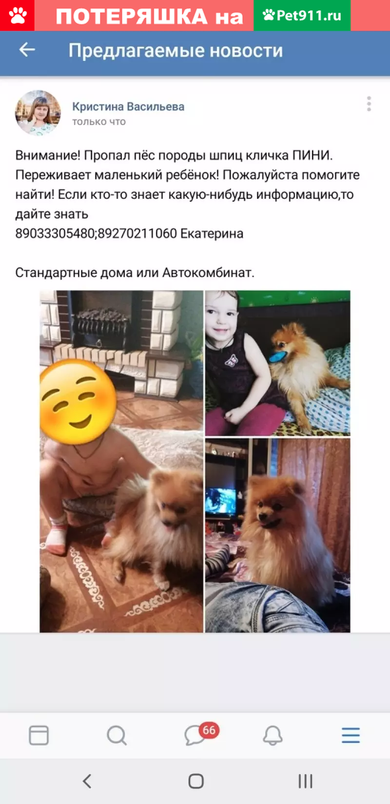 Пропала собака в Сызрани: шпиц ПИНИ, помогите найти! | Pet911.ru