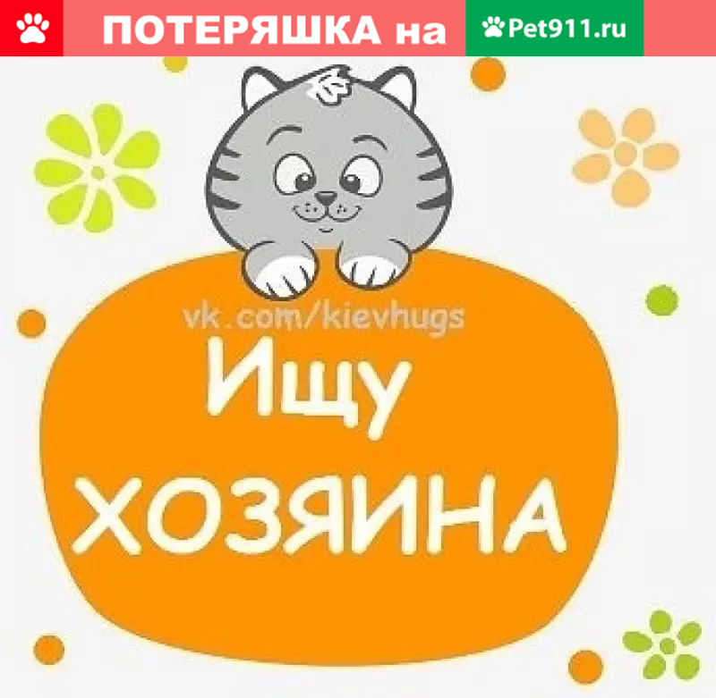 Семья ищет дом. Котята ищут дом. Котик ищет дом. Котятам нужен дом. Ищу дом.