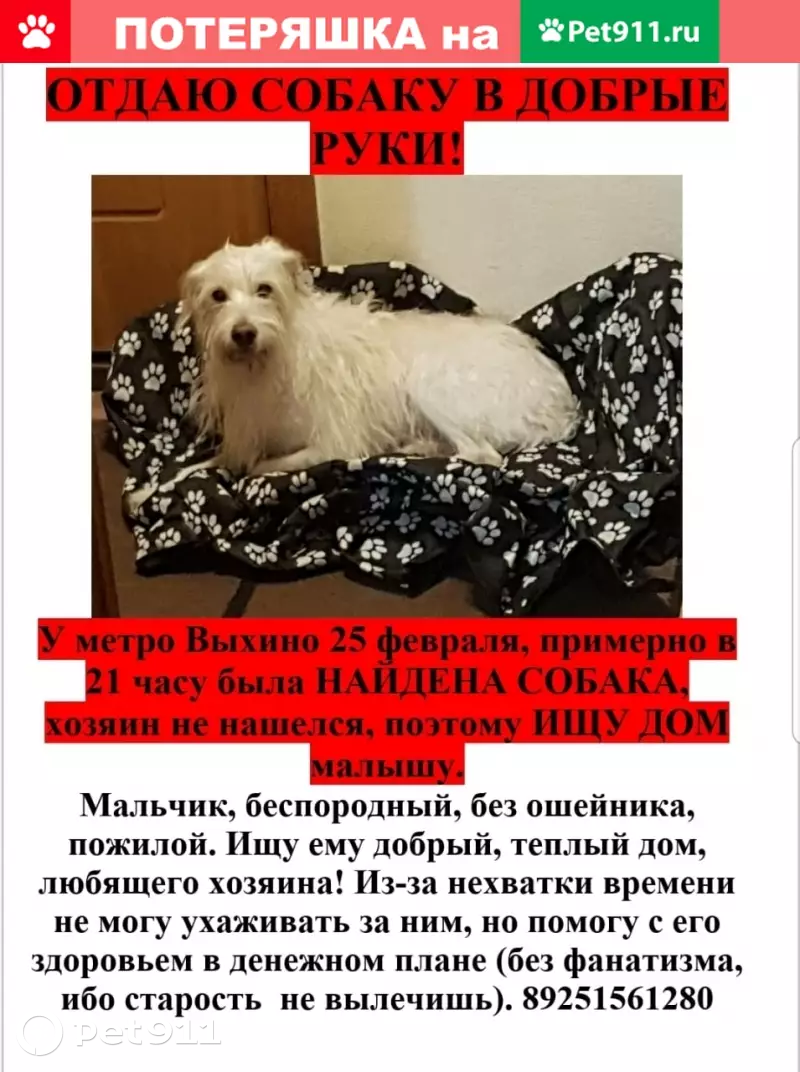 Найдена больная собака в метро Выхино, нуждается в уходе | Pet911.ru