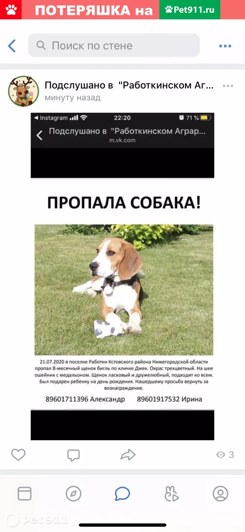 Пропал Бигль-мальчик, Работки Кстовского р-на, Нижегородская обл. |  Pet911.ru