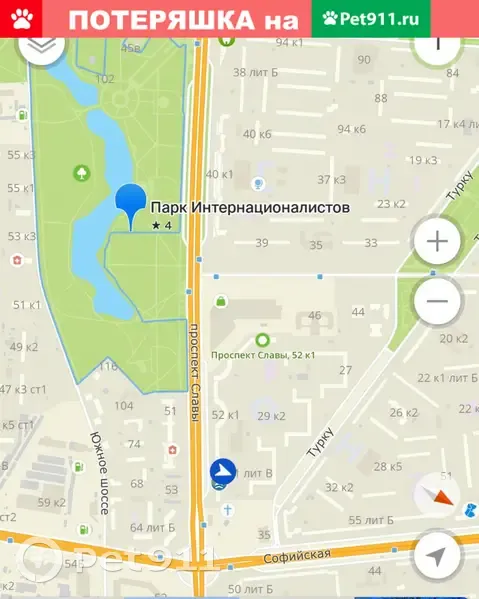 Пропала собака в парке Интернационалистов, Санкт-Петербург - photo