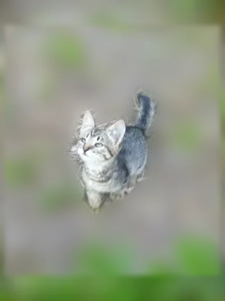 Пропала кошка, Красноармейская, д. 15, Брянск — котенок 2 месяцев, девочка - photo