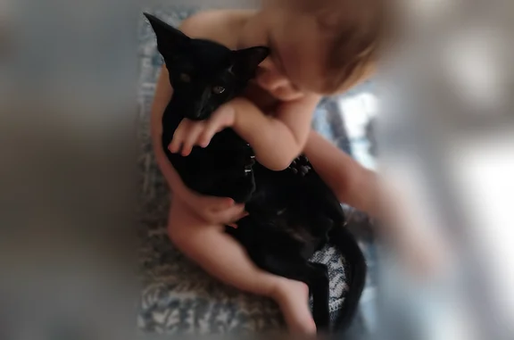 Пропала кошка, Ключевая, д. 30, Тамбов — котёнок по имени Ёда, чёрная шерсть - photo