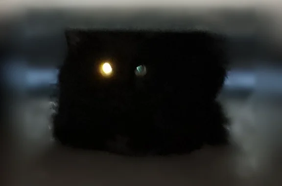 Найдена кошка, Тюмень, фото: Найдена кошка, район Аллеи кошек, Тюмень — чёрная, прячется под машинами