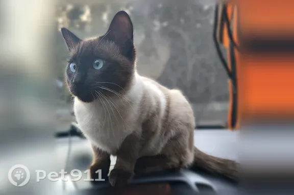 Нашелся