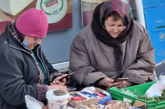 Пропала собака Селена в деревне Александровка, Бессоновский район