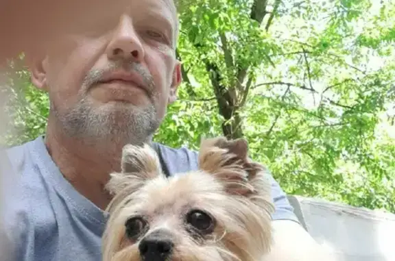 Найдена собака, Москва, фото: Найдена собака на 9-й Парковой улице, Москва