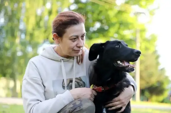 Найдена собака Юта ищет дом на улице Первомайская, 18