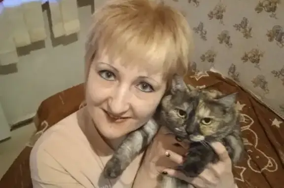 Кошки потеряшки, Александровка, фото: Потеряшка кошка Муся на ул. Книжная 195, р-н Александровка.