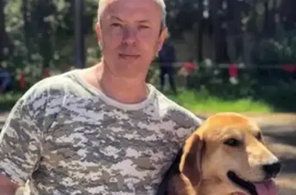 Пропала собака в Егорьевском районе: Плакун, светло чепрачный, вознаграждение.