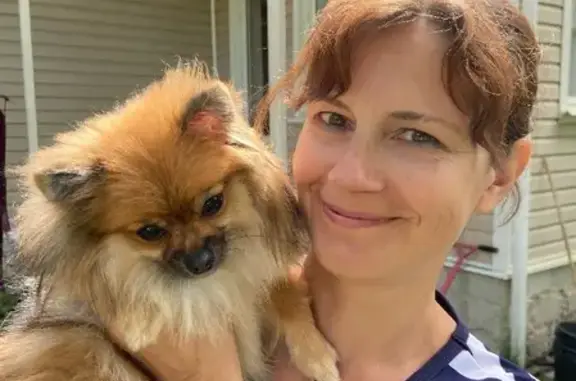 Собаки потеряшки, Москва, фото: Потеряшка собака Люся на МКАД, 5 км, Москва