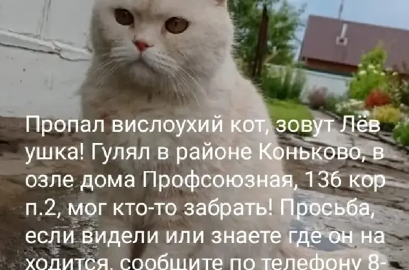 Потерянные животные Москва, фото: Пропала кошка в районе Коньково, требуется помощь!