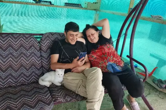 Кошки потеряшки, Кизилюрт, фото: Потеряшка белая кошка Мальчик возле Кизилюрта