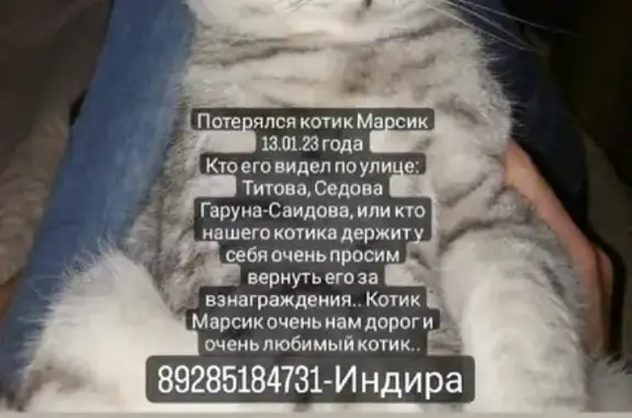 Пропал котик на ул. Гаруна Саидова 33, Махачкала