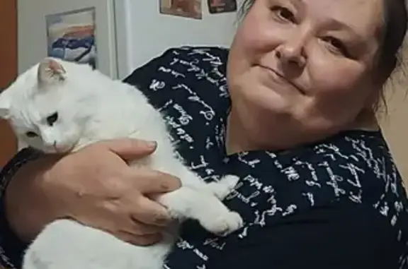 Пропала белая кошка на улице 50 лет Октября, 48 в Батайске