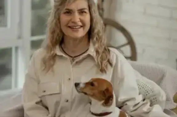 Объявления о пропавших и найденных животных, Ростов-на-Дону, фото: Пропала собака на Средней ул. в Ростове-на-Дону