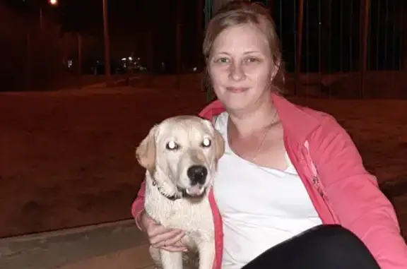 Пропала собака блондинка, Восточная снт Берёзка, 37А