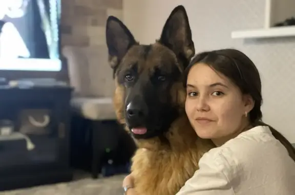 Пропала собака на Октябрьской, 11 в Казани