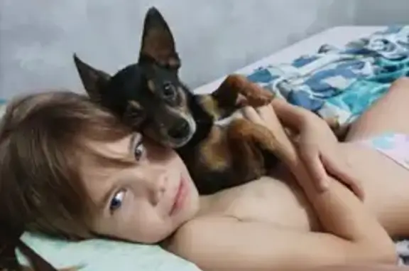 Пропала собака Мальчик на Коммунальной, 30