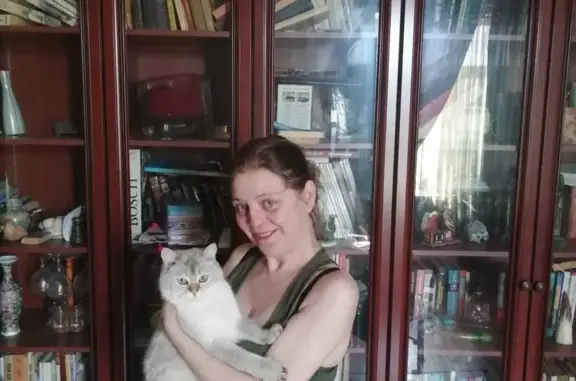 Найдена британская кошка на Кусковской, Москва