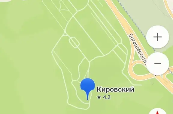 Потерян кот возле стадиона Буревестник в Томске