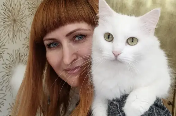 Пропала белая кошка на Дубравной, Белгород
