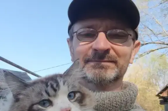 Найдена кошка Кот на Набережной ул.