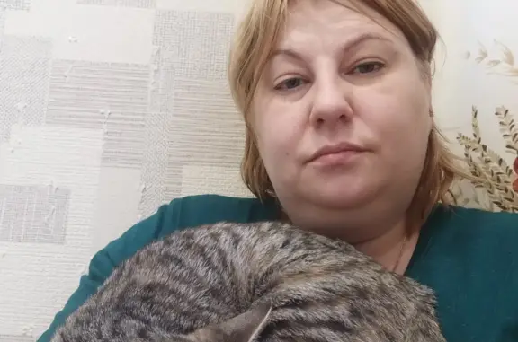 Потерянные животные Санкт-Петербург, фото: Пропала кошка: ул. Демьяна Бедного, 23 к2, СПб