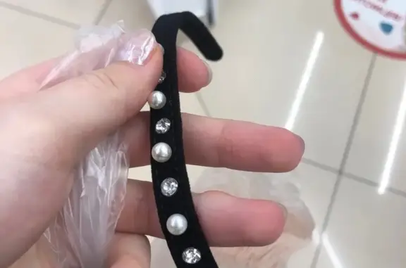 Кошки потеряшки, , фото: Потеряшка кошка в районе Кампари, адрес: Одесская ул., 3