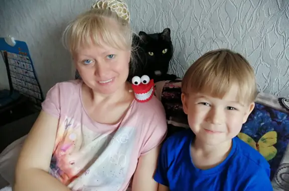 Пропала кошка в Краснотурьинске, возраст 11 лет