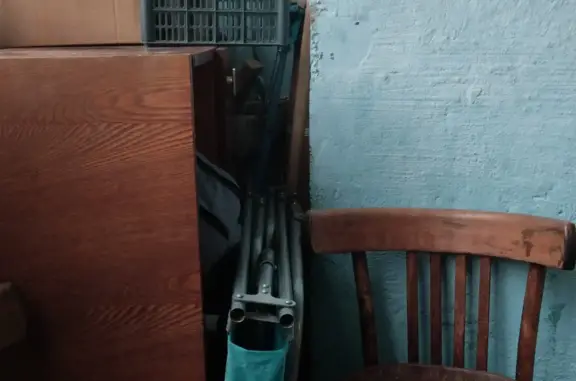 Кошки потеряшки, Новосибирск, фото: Потеряшка серая кошка на Широкой улице, Новосибирск