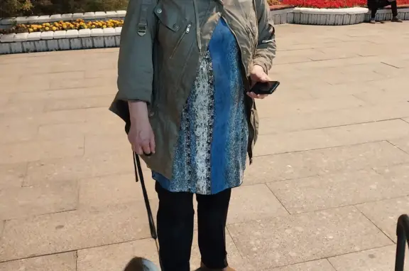 Найдена собака, Москва, фото: Найдена собака на Филевской линии метро, Кутузовский проспект, Москва