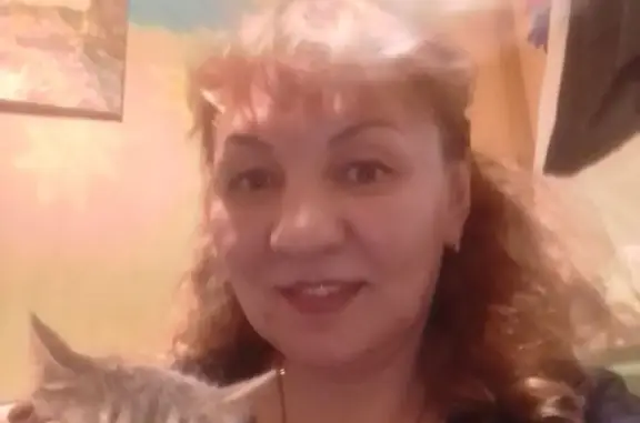 Кошки потеряшки, Санкт-Петербург, фото: Потеряшка кошка, цвет: дымчатосерый, 3 года, Угольная гавань, СПб