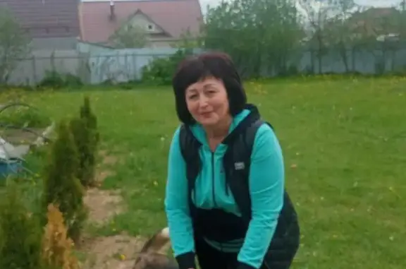Пропала рыжая собака в Венюково, Московская область