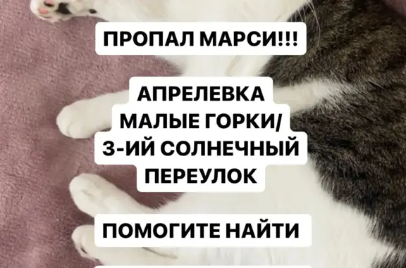 Пропал кот: белый с серым, Малые Горки, Апрелевка