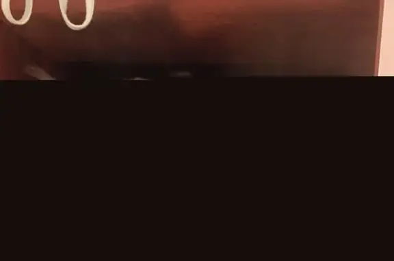 Кошки потеряшки, Ульяновск, фото: Потеряшка кот Бакс(Бася) на ул. Почтовая, 9, Ульяновск